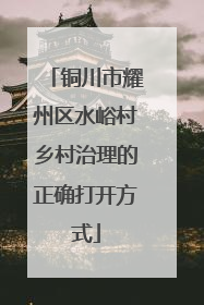铜川市耀州区水峪村乡村治理的正确打开方式